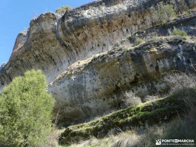 un bosque Jurásico - Sabinar y Cañón del río Caslilla; rutas senderismo jaca sierra noroeste de madr